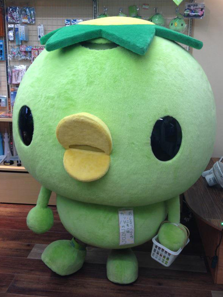 店内のコタロウ